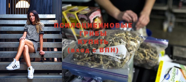 прущие крисы Алзамай