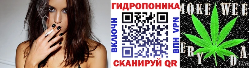 Марихуана марихуана  ОМГ ОМГ   Островной 